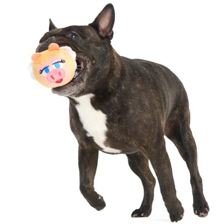The Muppet Kermit & Miss Piggy Super Chewer Bundle Durable Multi-Part Dog Toy - Image 7