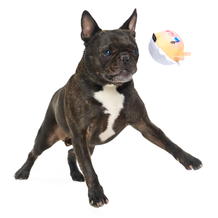 The Muppet Kermit & Miss Piggy Super Chewer Bundle Durable Multi-Part Dog Toy - Image 8