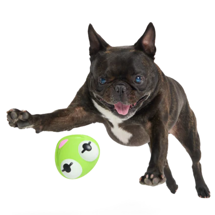 The Muppet Kermit & Miss Piggy Super Chewer Bundle Durable Multi-Part Dog Toy - Image 9