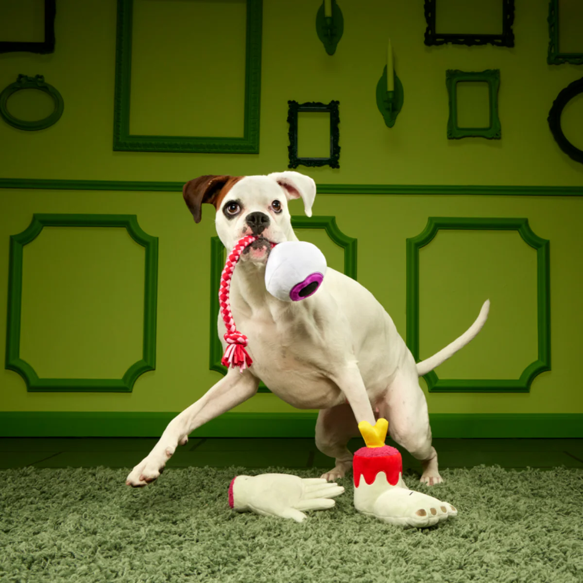 The Part-y Pack Plush Multi-Part + Tug Dog Toy - Image 3