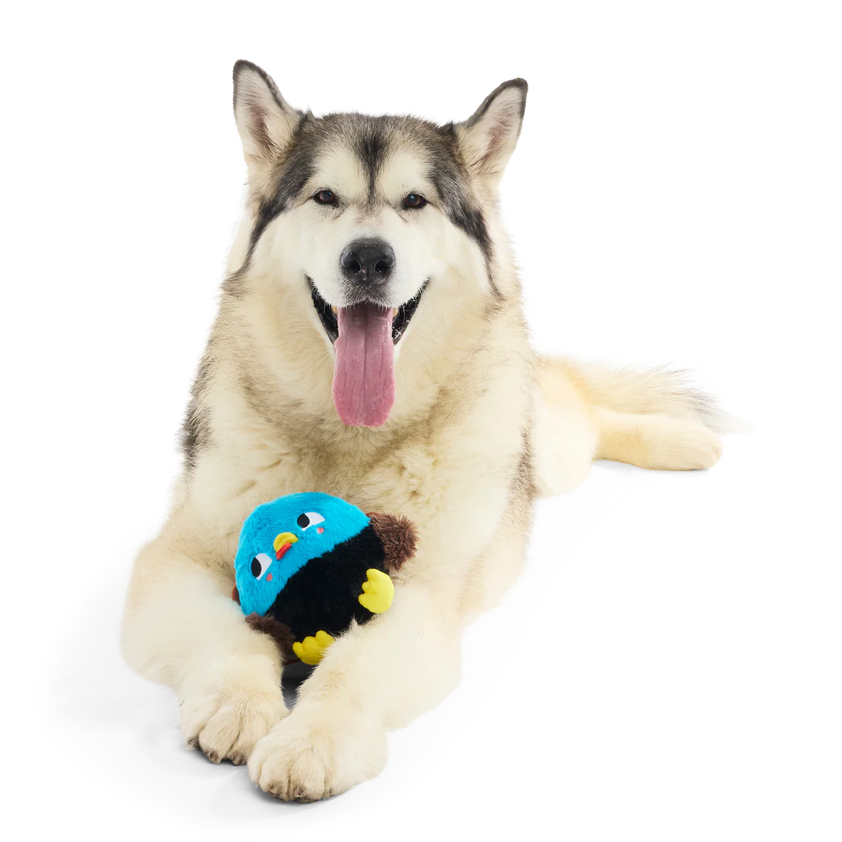 The Pecking Order Plush Multi-Part Dog Toy - Image 6