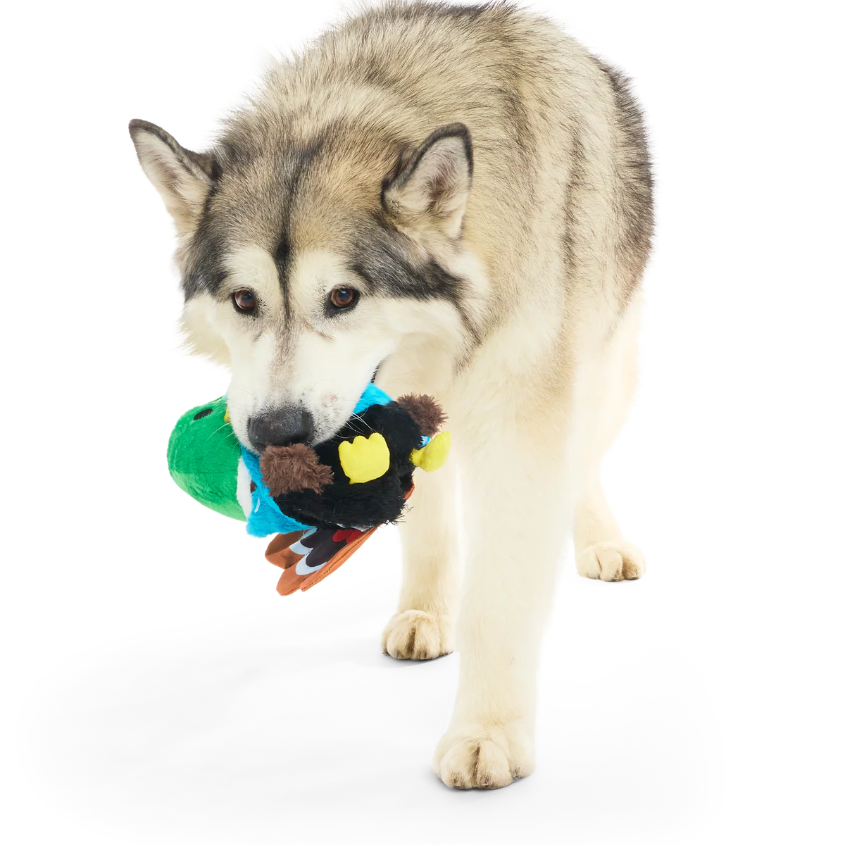 The Pecking Order Plush Multi-Part Dog Toy - Image 7