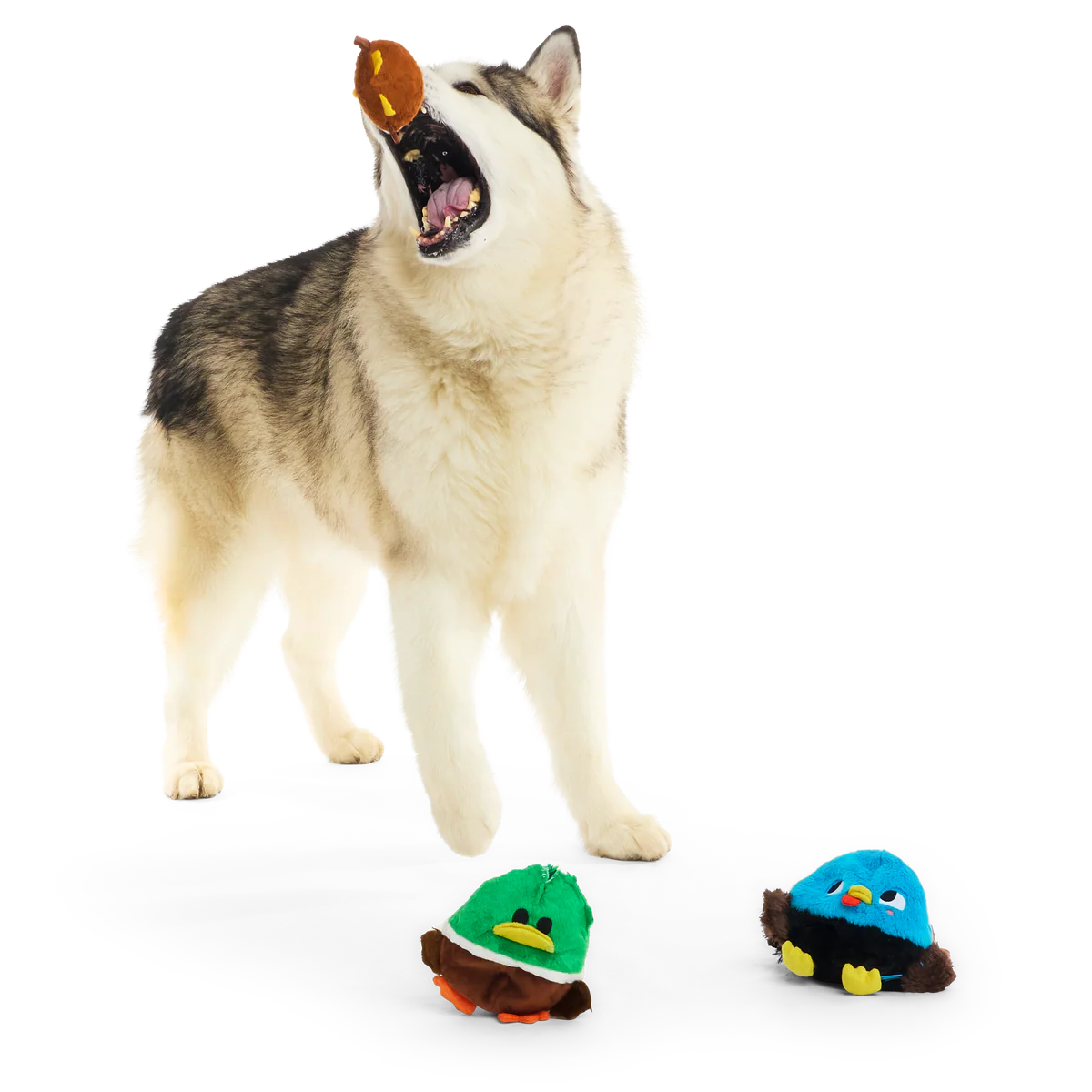 The Pecking Order Plush Multi-Part Dog Toy - Image 8