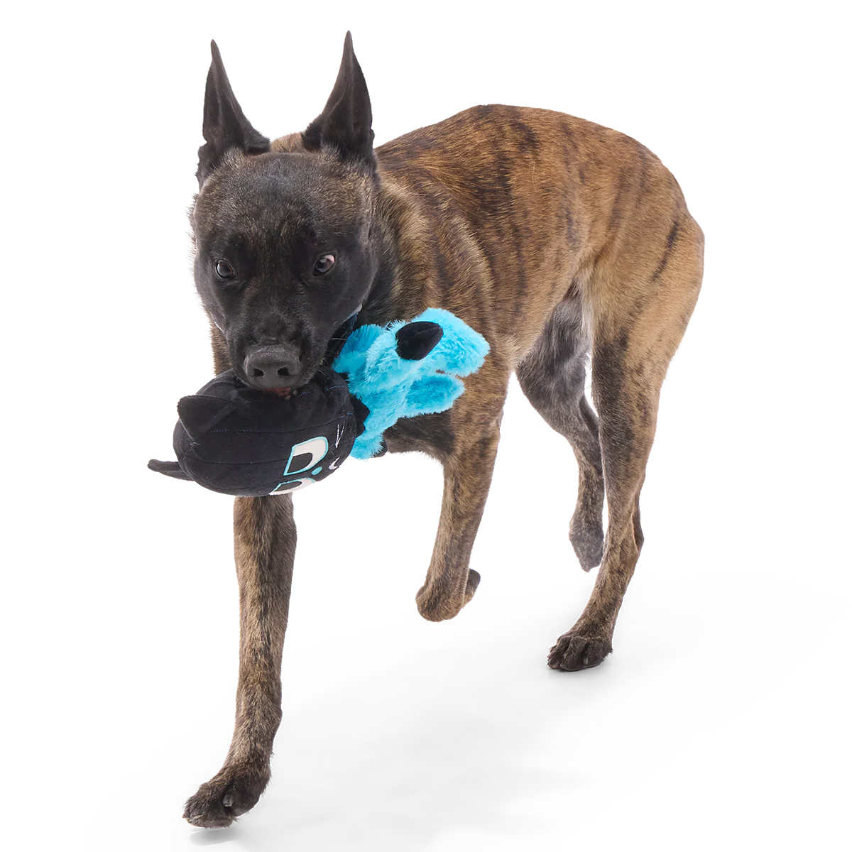 The Purrfect Crime Plush 2-in-1 + Tug Dog Toy - Image 3