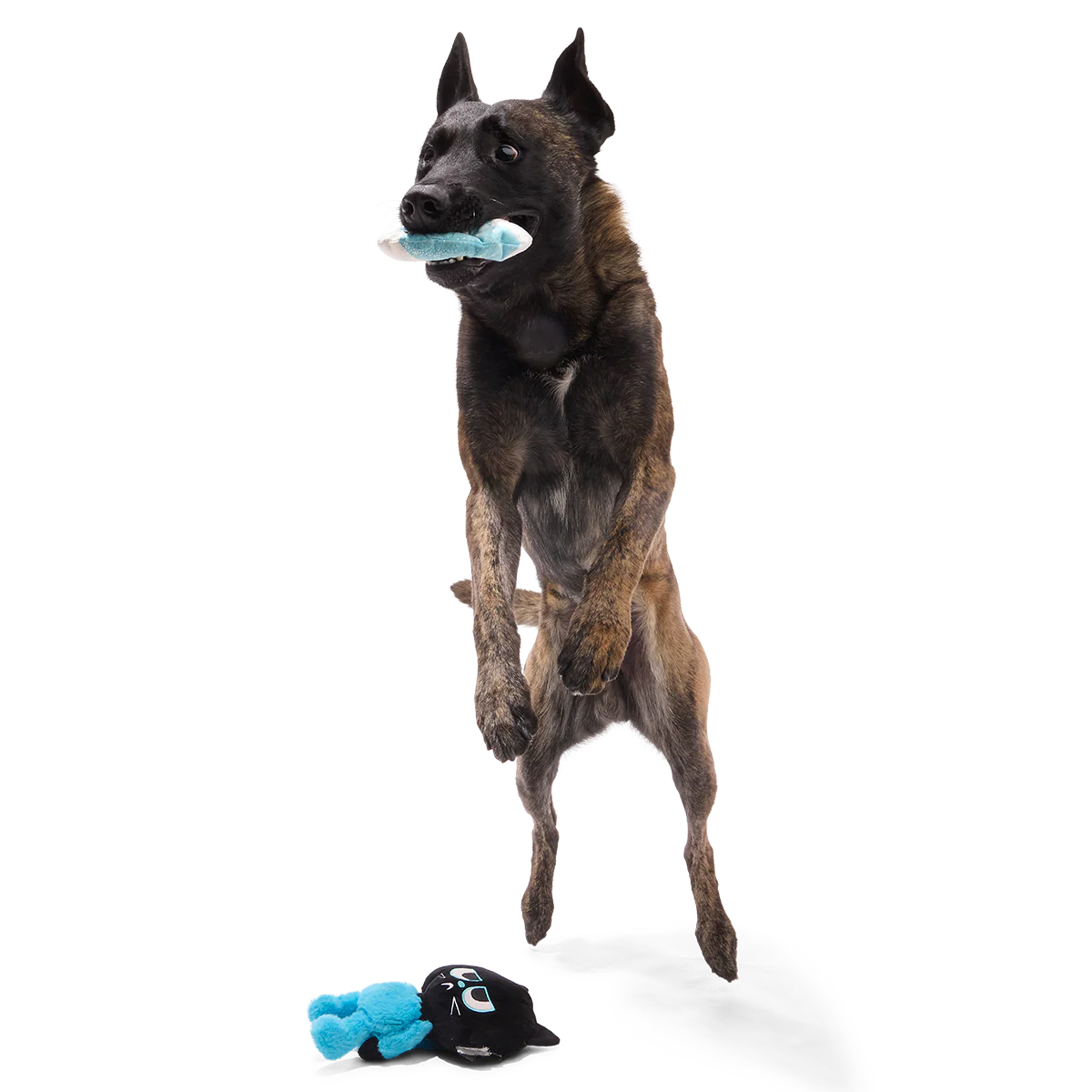 The Purrfect Crime Plush 2-in-1 + Tug Dog Toy - Image 4