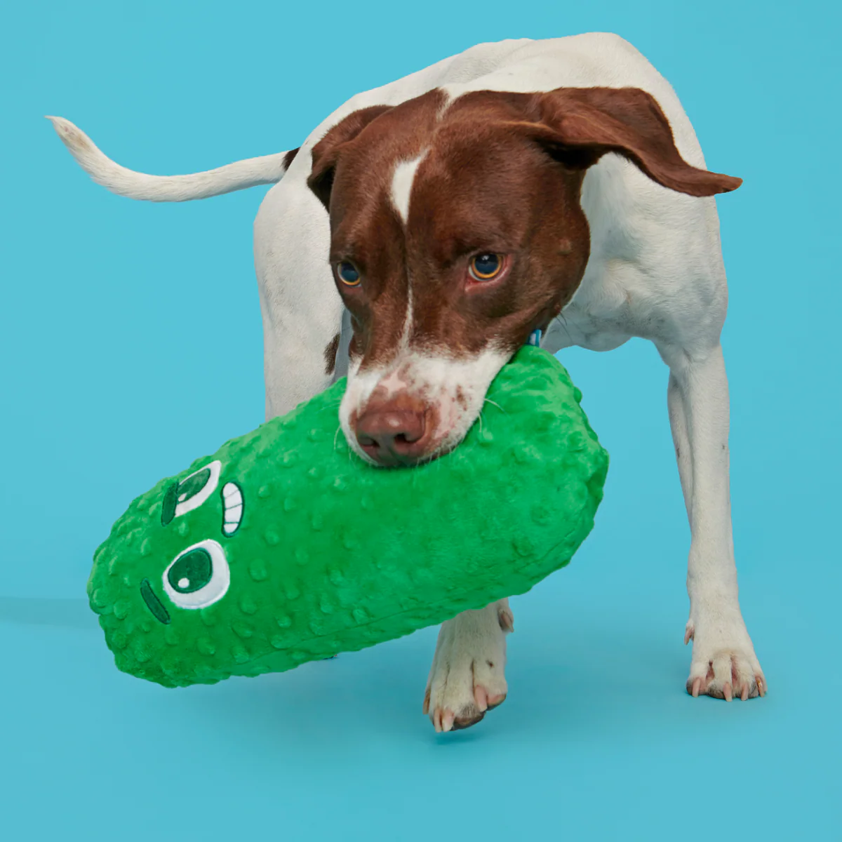 Big Dill Bill Plush Extra-Large Tug Dog Toy - Image 2