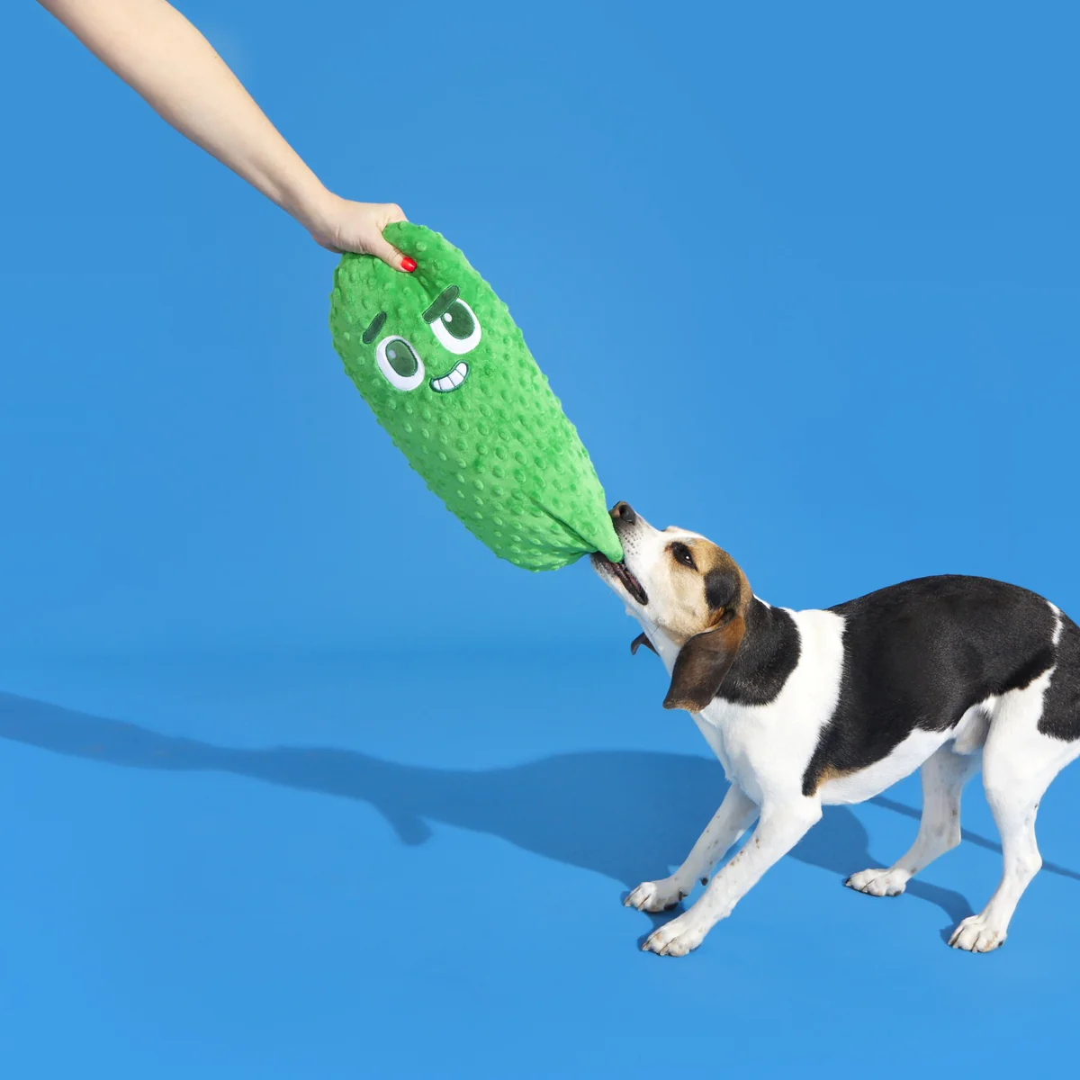 Big Dill Bill Plush Extra-Large Tug Dog Toy - Image 3