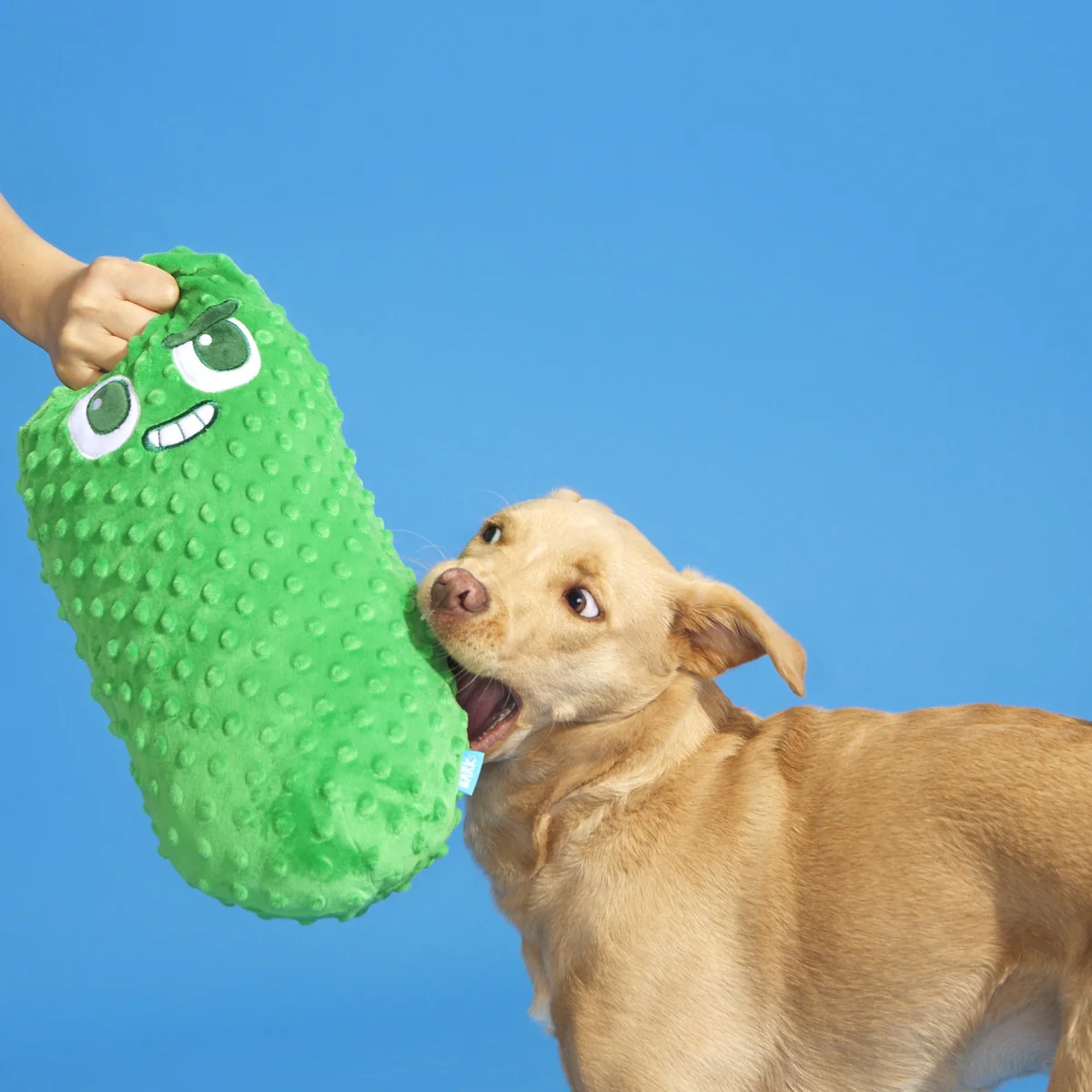 Big Dill Bill Plush Extra-Large Tug Dog Toy - Image 4