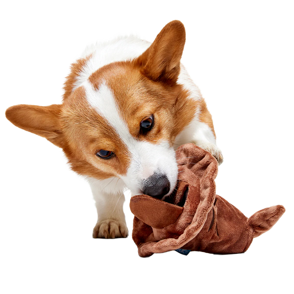 The Sorting Hat™ Plush 2-in-1 + Fetch Dog Toy - Image 10