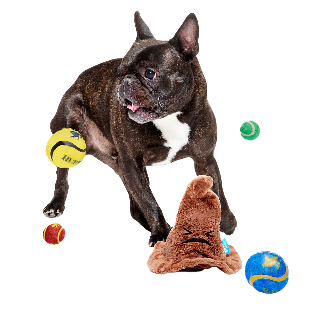 The Sorting Hat™ Plush 2-in-1 + Fetch Dog Toy - Image 7
