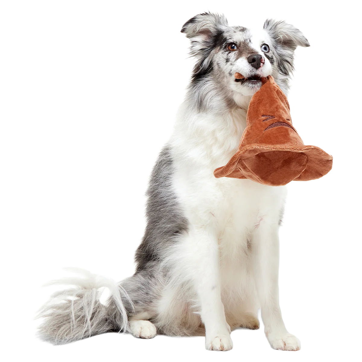 The Sorting Hat™ Plush 2-in-1 + Fetch Dog Toy - Image 8
