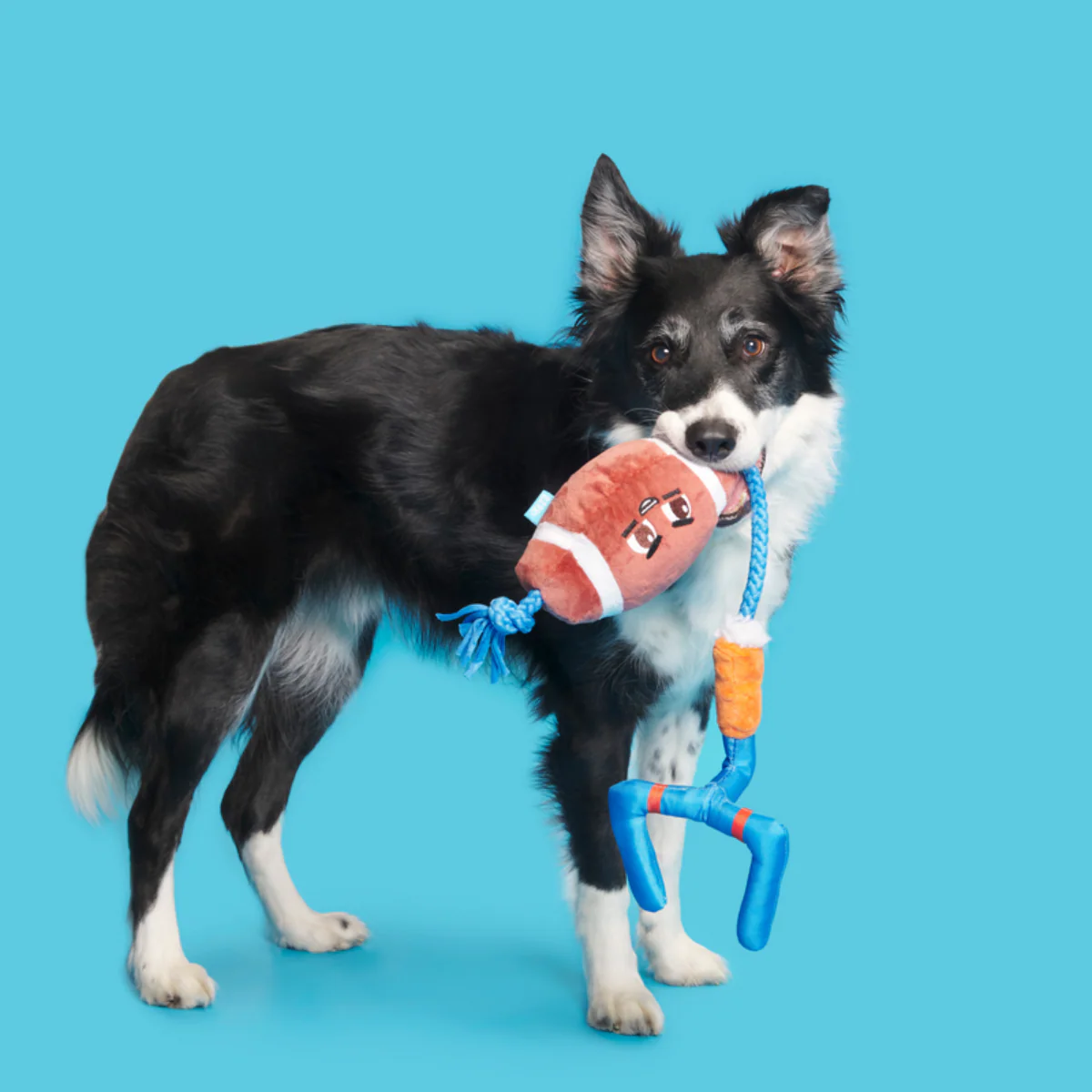 The Whole Canine Yards Plush Tug Dog Toy - Image 7