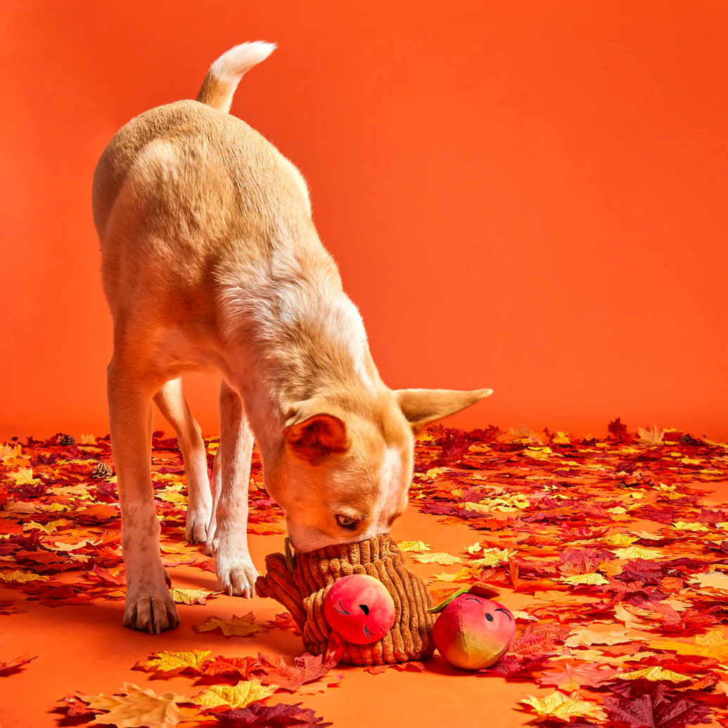 Them Apples Plush Multi-Part + Fetch + Enrichment Dog Toy - Image 4