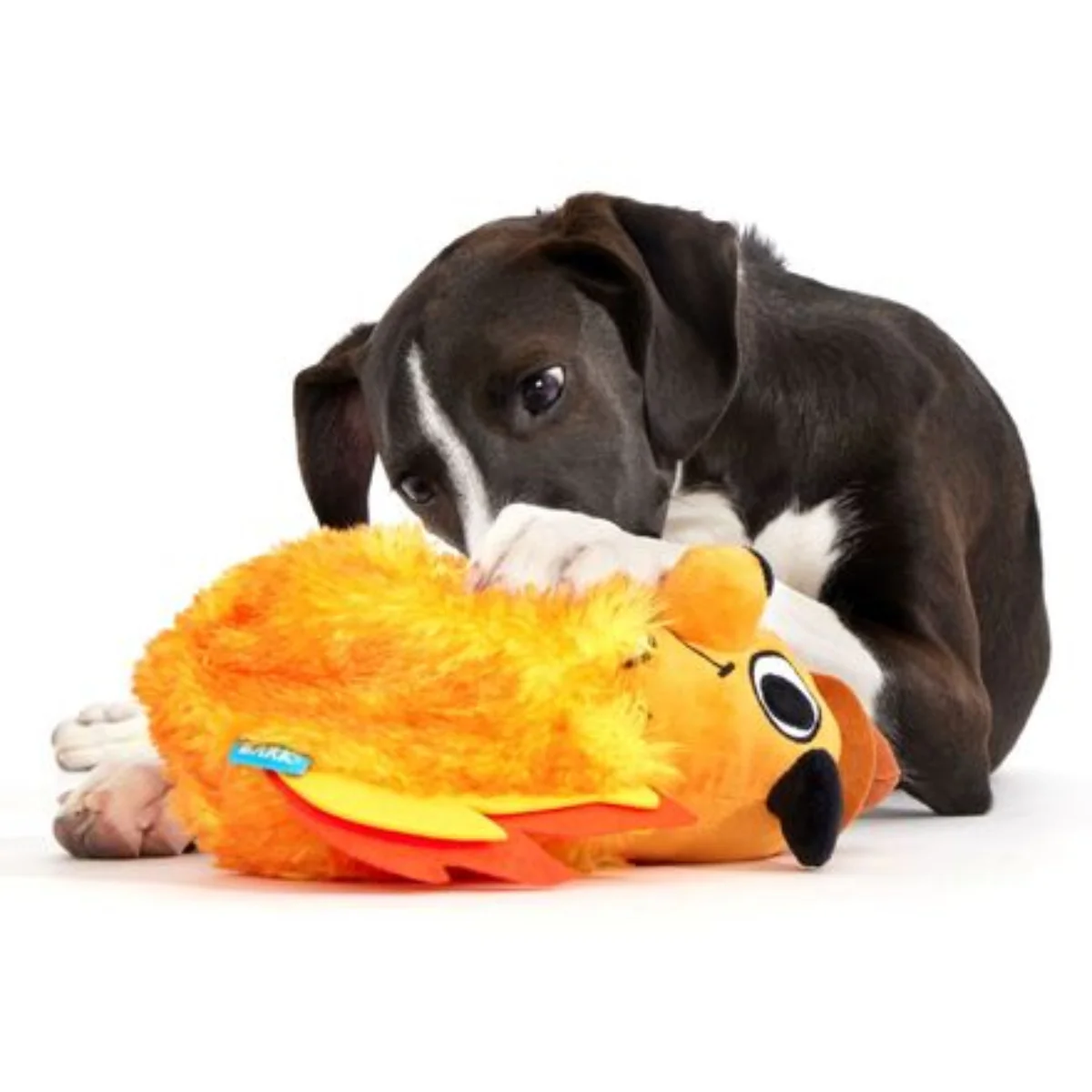 This is Fine Plush Multi-Part + Enrichment Dog Toy - Image 6