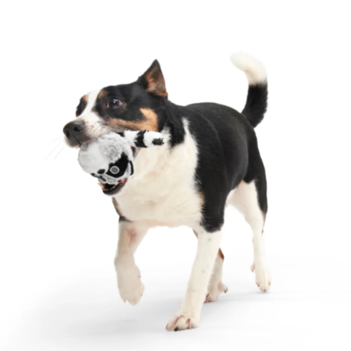 Thrash Panda Durable Super Chewer 2-in-1 Rip and Reveal Dog Toy - Image 4