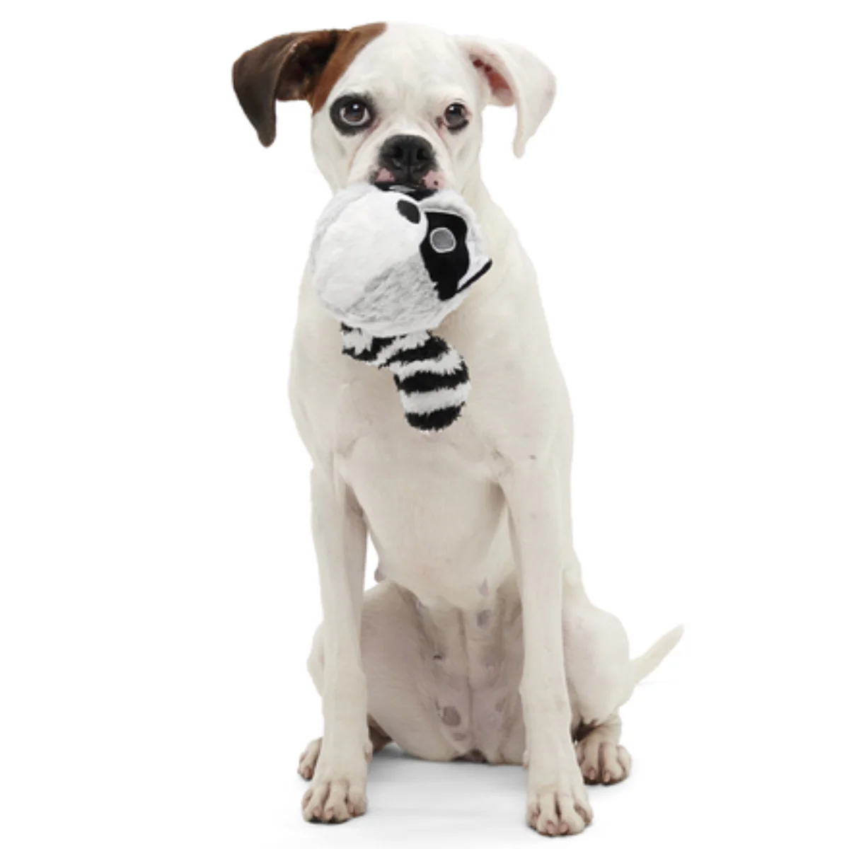 Thrash Panda Durable Super Chewer 2-in-1 Rip and Reveal Dog Toy - Image 5