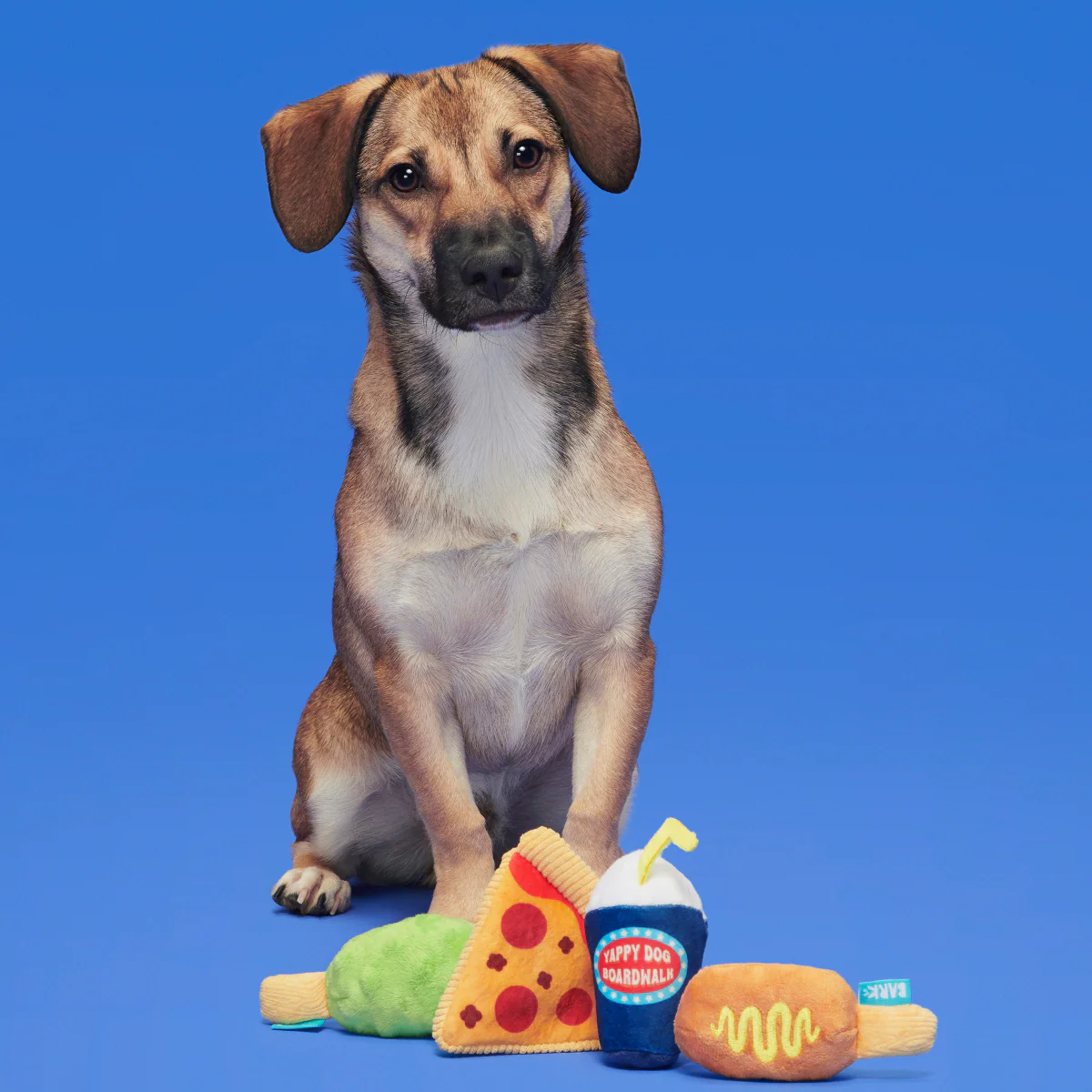 Thrill Squeaker Snacks Plush Multi-Part Dog Toy - Image 2