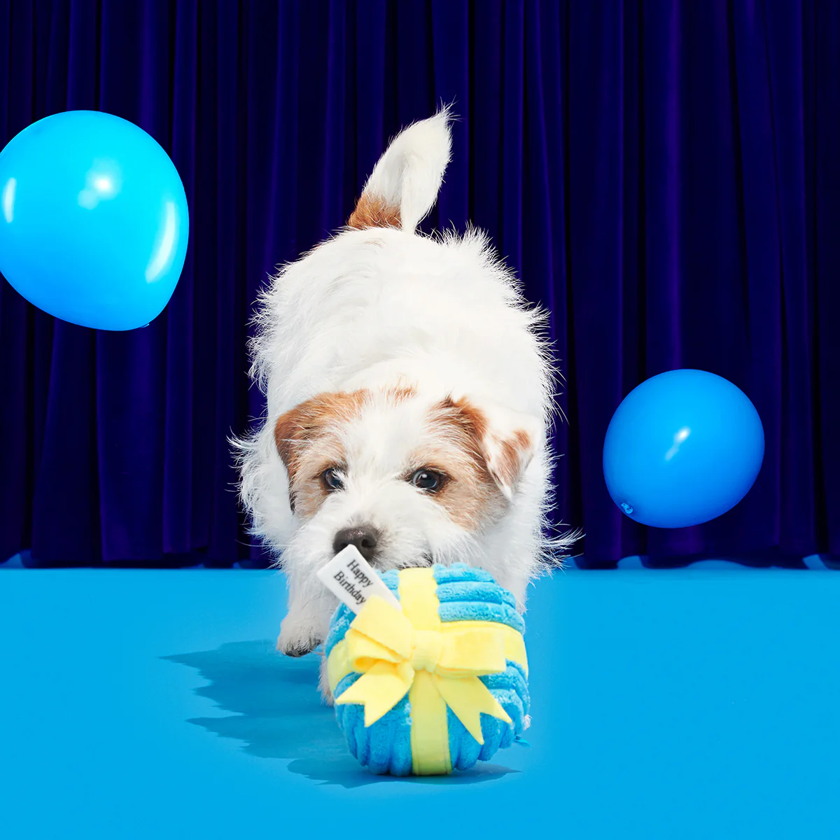 Throw A Party Present Plush 2-in-1 Dog Toy - Image 3
