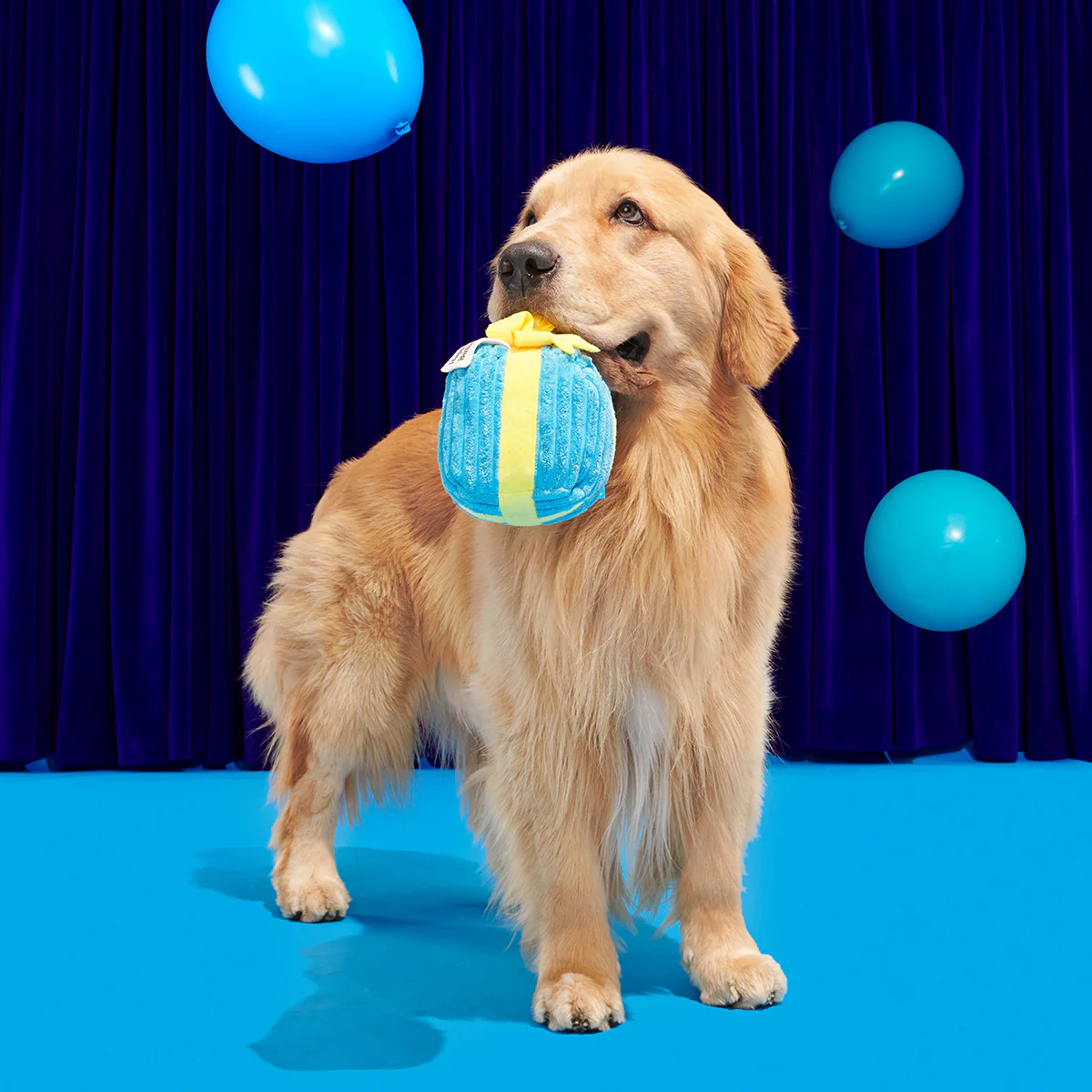 Throw A Party Present Plush 2-in-1 Dog Toy - Image 4