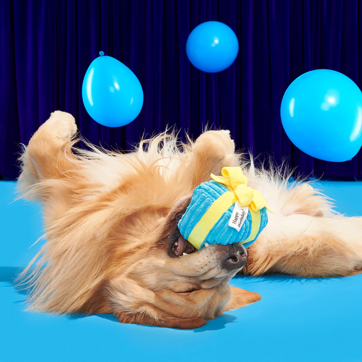Throw A Party Present Plush 2-in-1 Dog Toy - Image 5