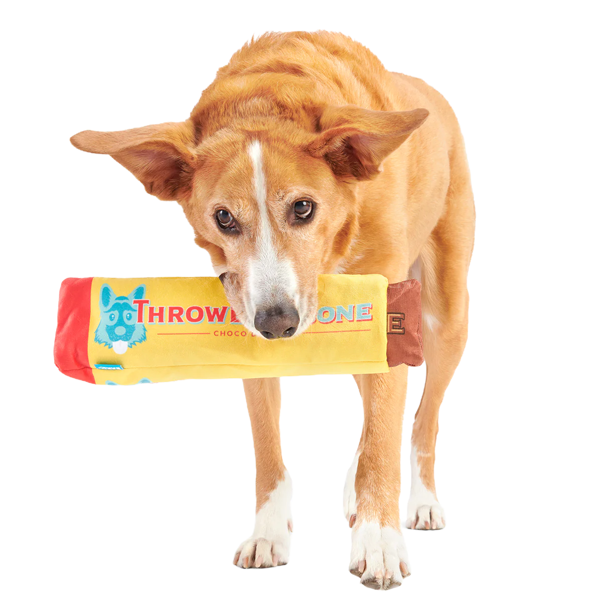 ThrowblerBone Plush Extra-Large Multi-Part + Enrichment Dog Toy - Image 3