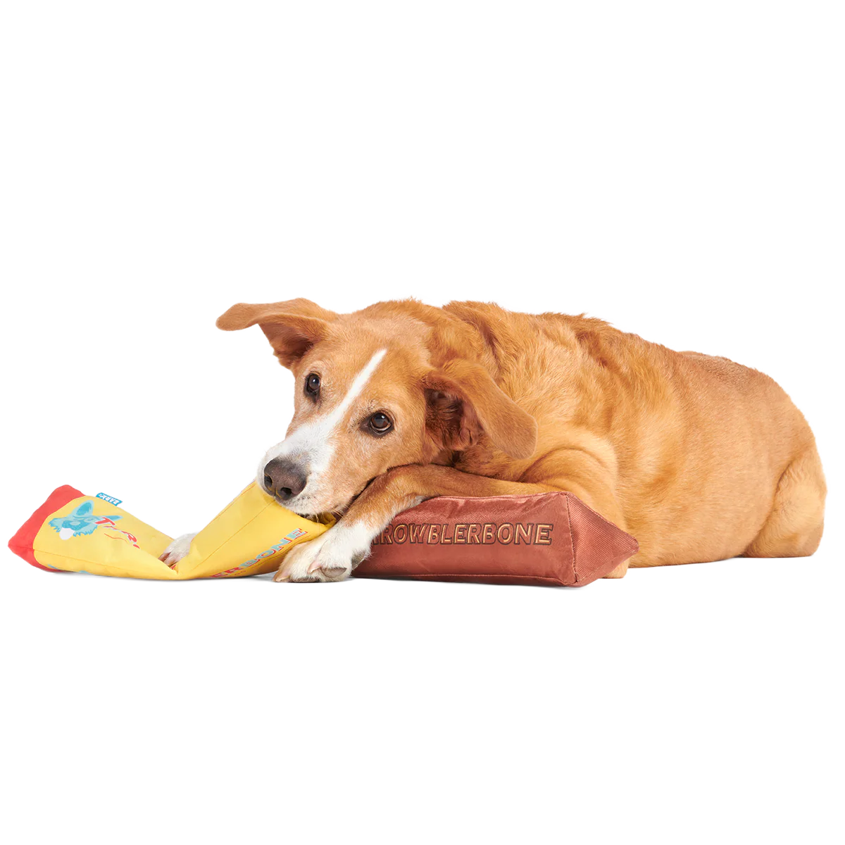 ThrowblerBone Plush Extra-Large Multi-Part + Enrichment Dog Toy - Image 5