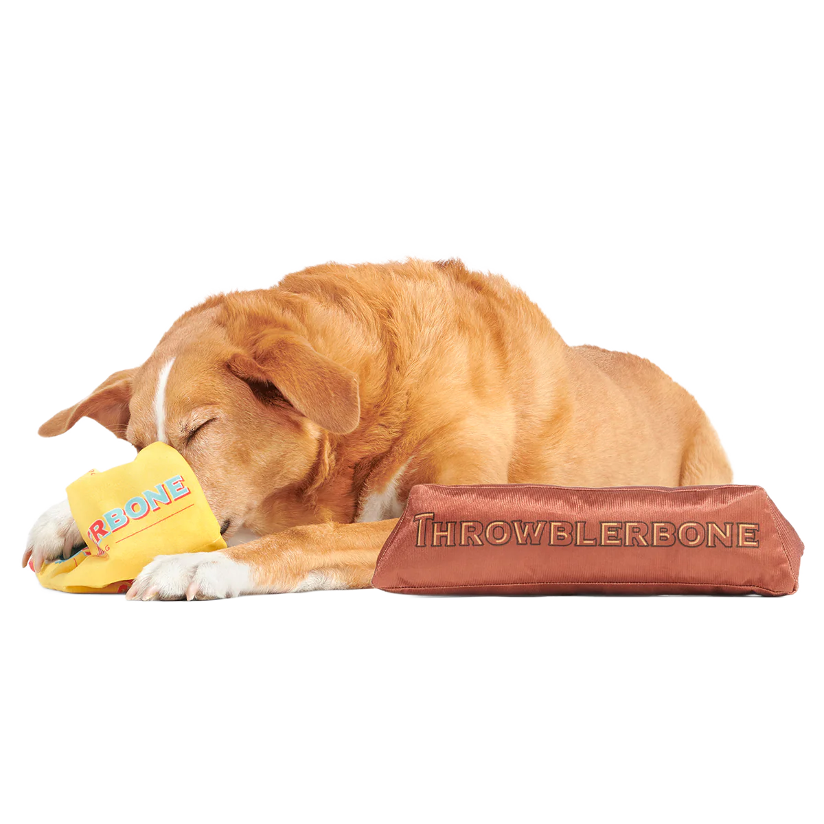 ThrowblerBone Plush Extra-Large Multi-Part + Enrichment Dog Toy - Image 6