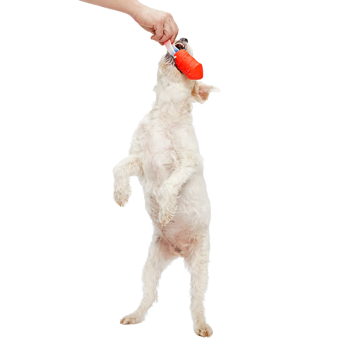 Throwman Candle Super Chewer Durable Tug Dog Toy - Image 3