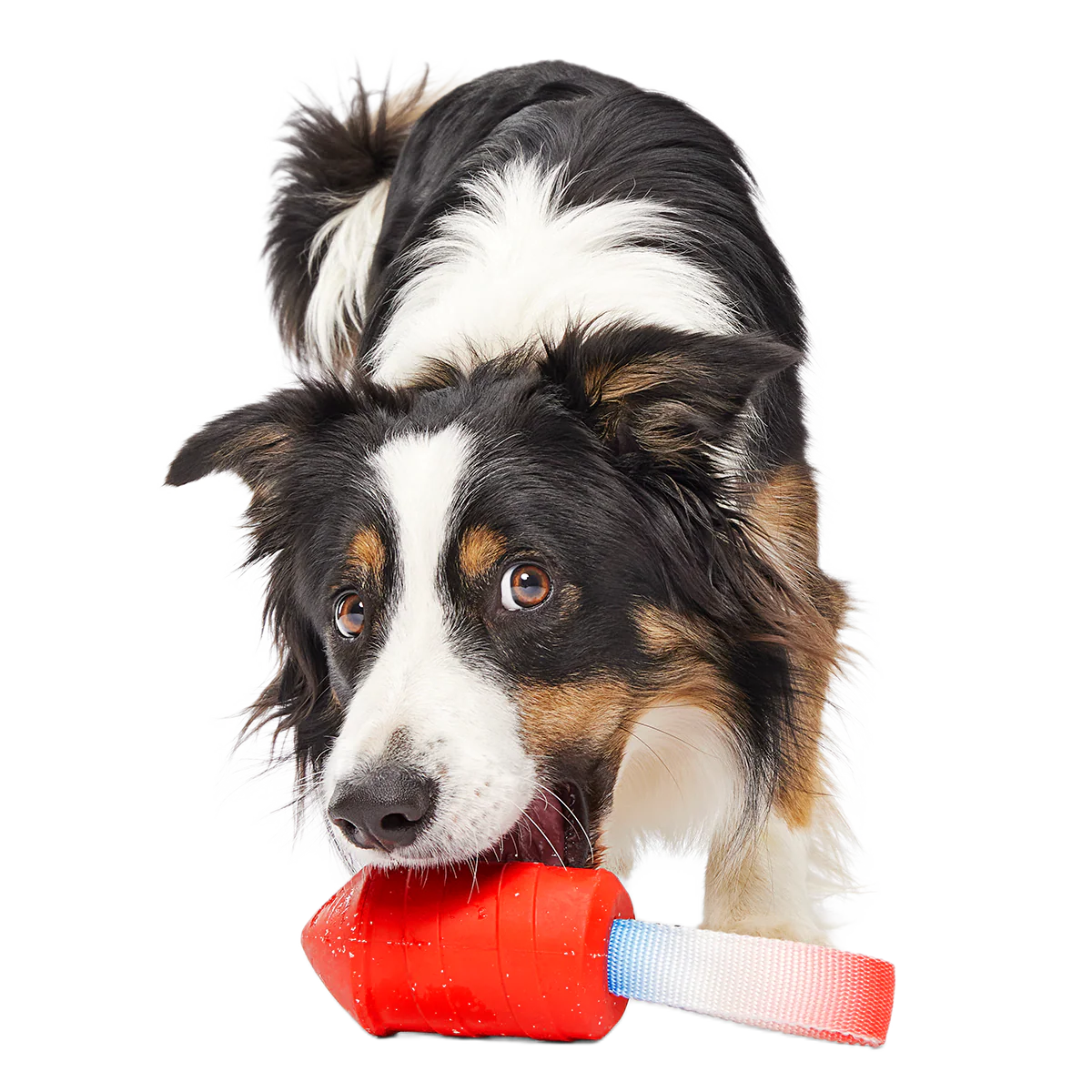 Throwman Candle Super Chewer Durable Tug Dog Toy - Image 4