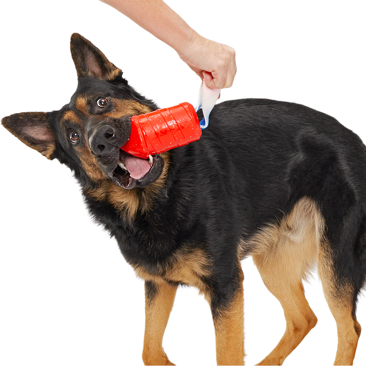 Throwman Candle Super Chewer Durable Tug Dog Toy - Image 5
