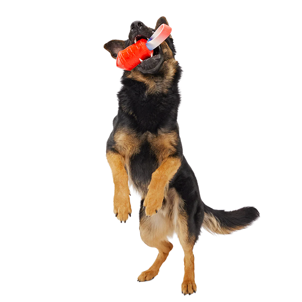 Throwman Candle Super Chewer Durable Tug Dog Toy - Image 6