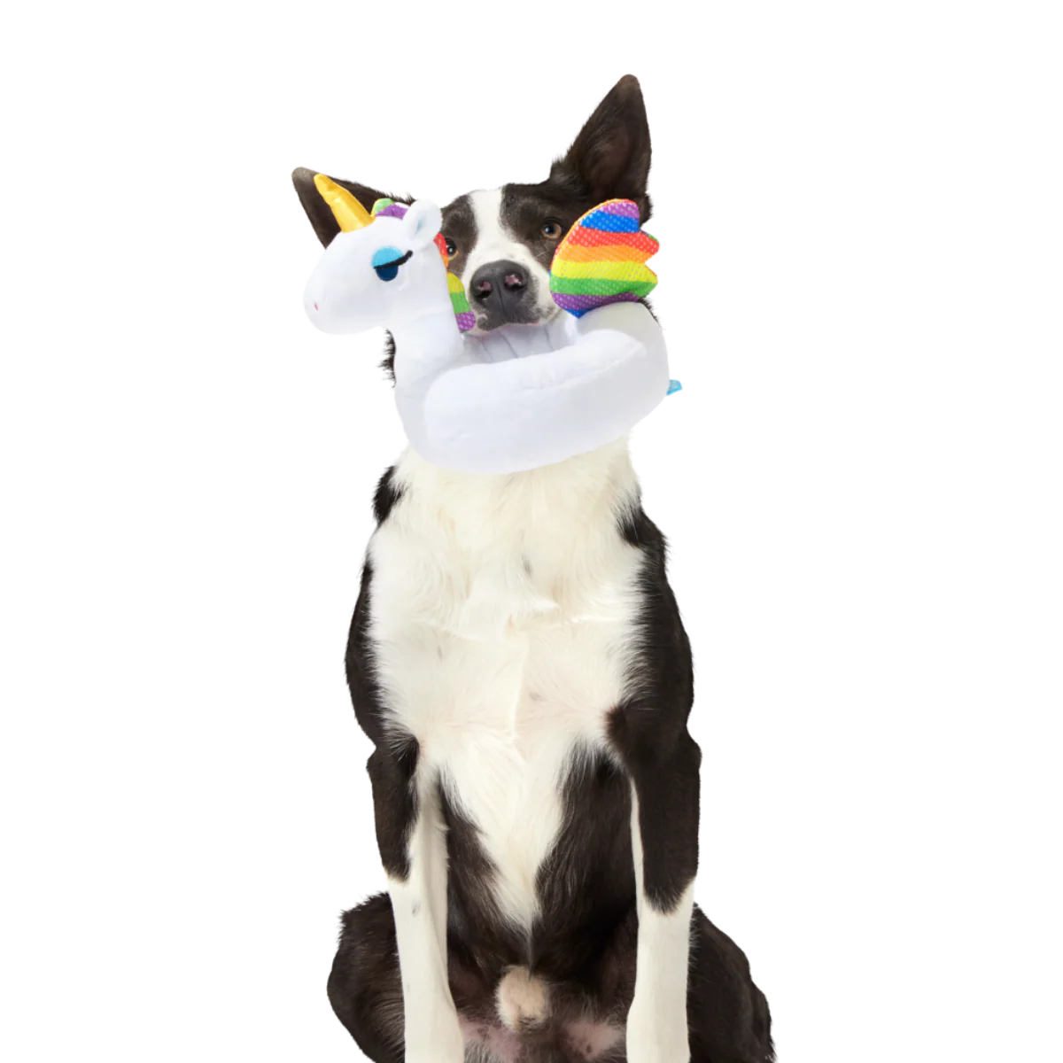 Tina the Tubular Unicorn Plush Tug Dog Toy - Image 2