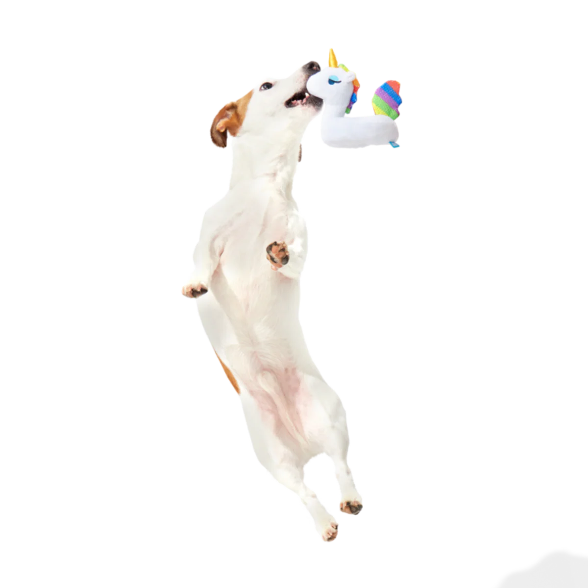 Tina the Tubular Unicorn Plush Tug Dog Toy - Image 3