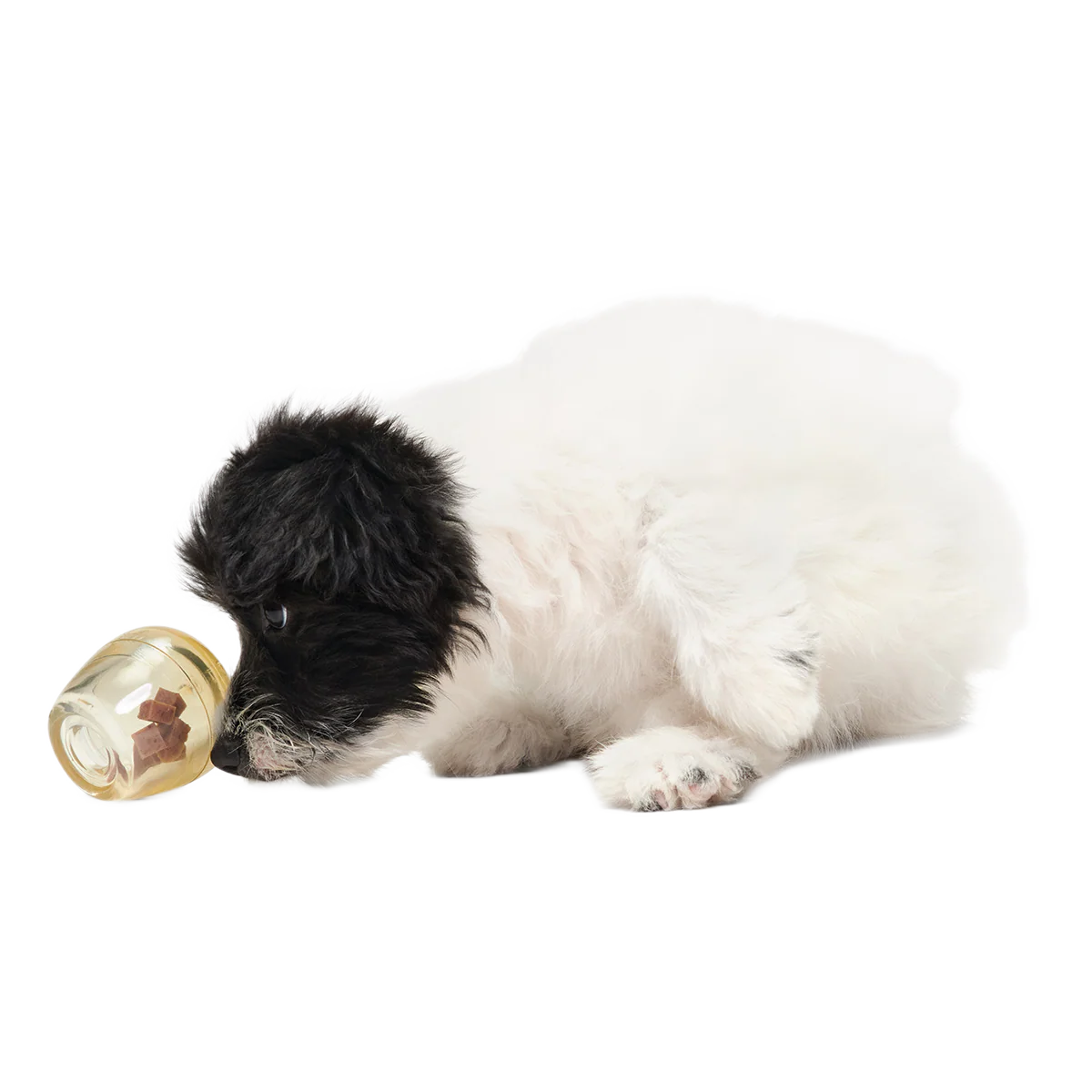 Tipsy Toast Glass Super Chewer Durable Enrichment Dog Toy - Image 3