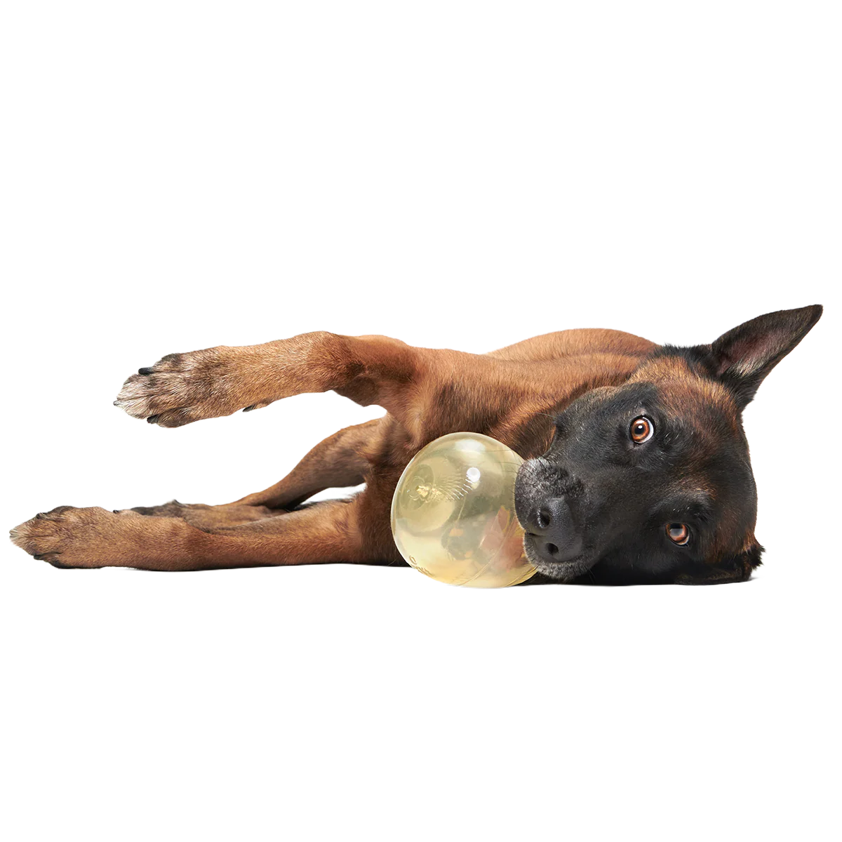 Tipsy Toast Glass Super Chewer Durable Enrichment Dog Toy - Image 4