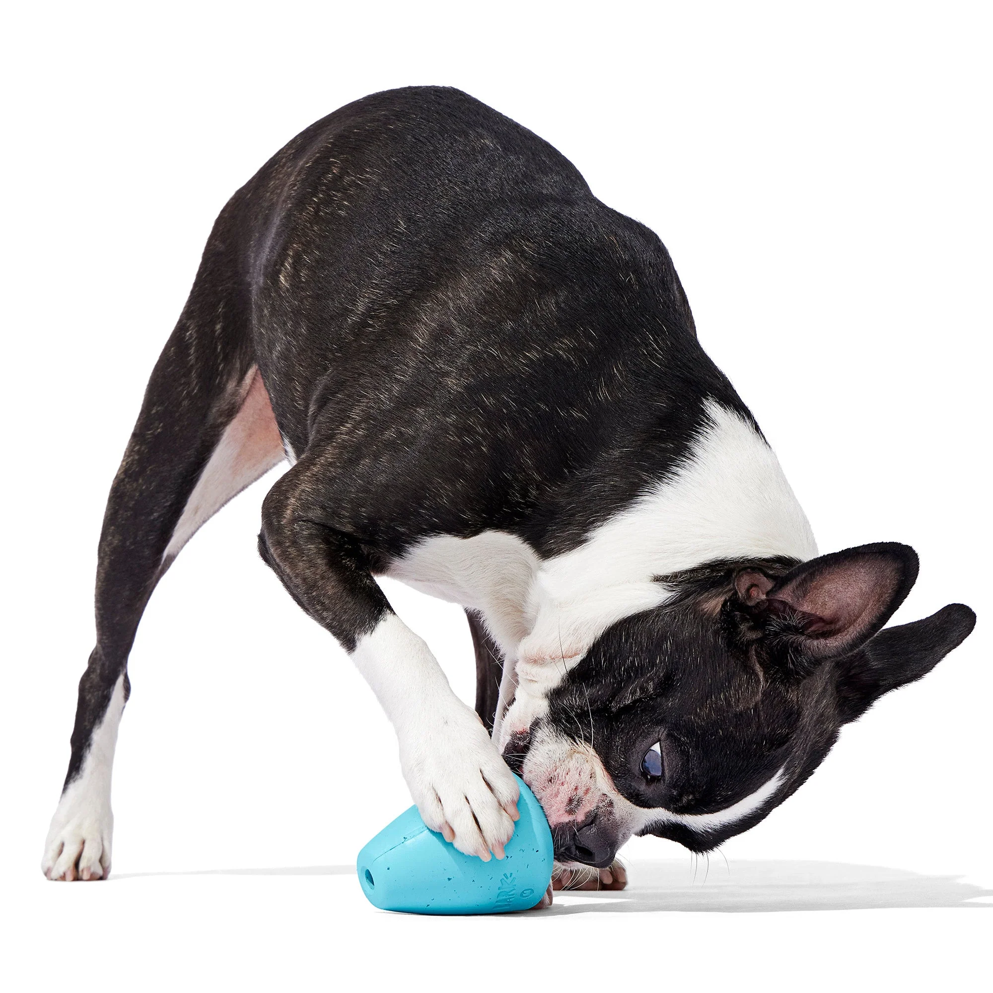 Titan Puzzle Super Chewer Durable Enrichment Dog Toy - Image 2