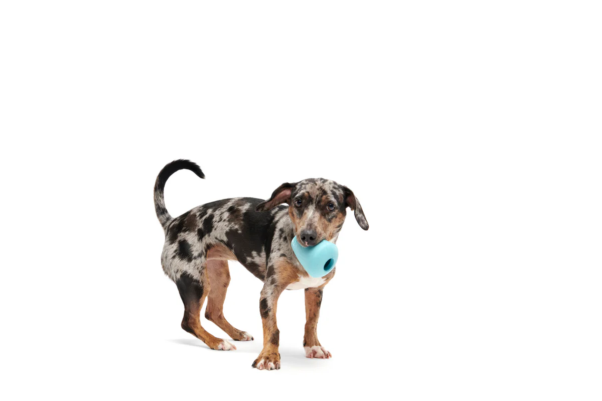 Titan Puzzle Super Chewer Durable Enrichment Dog Toy - Image 3