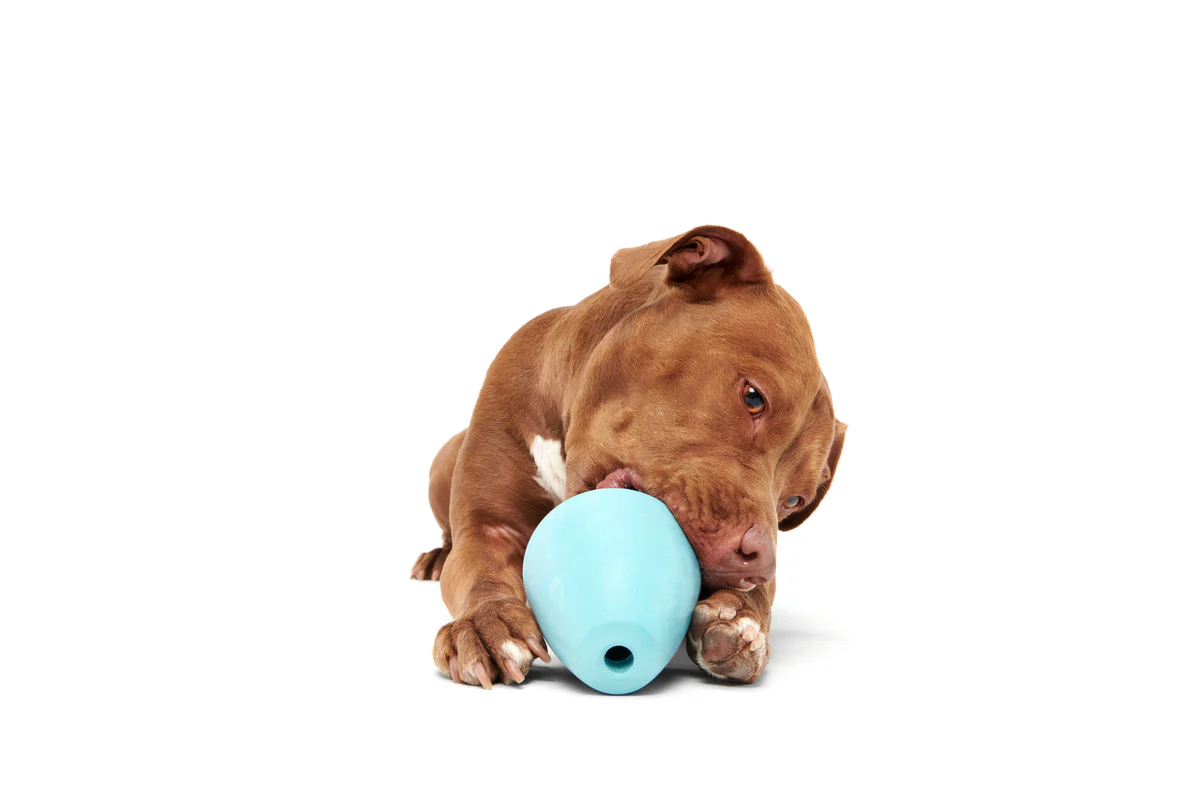Titan Puzzle Super Chewer Durable Enrichment Dog Toy - Image 4