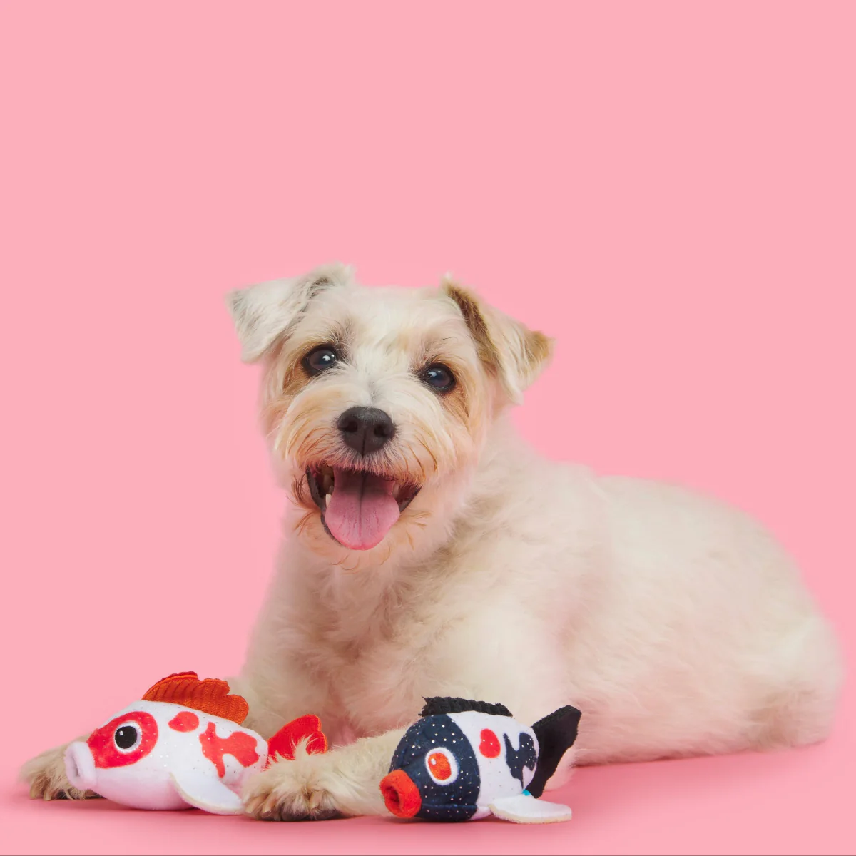 Toi Koi Plush Multi-Part Dog Toy - Image 3