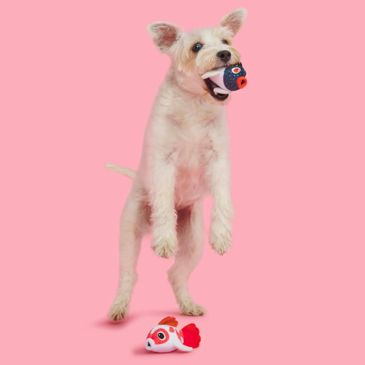 Toi Koi Plush Multi-Part Dog Toy - Image 4