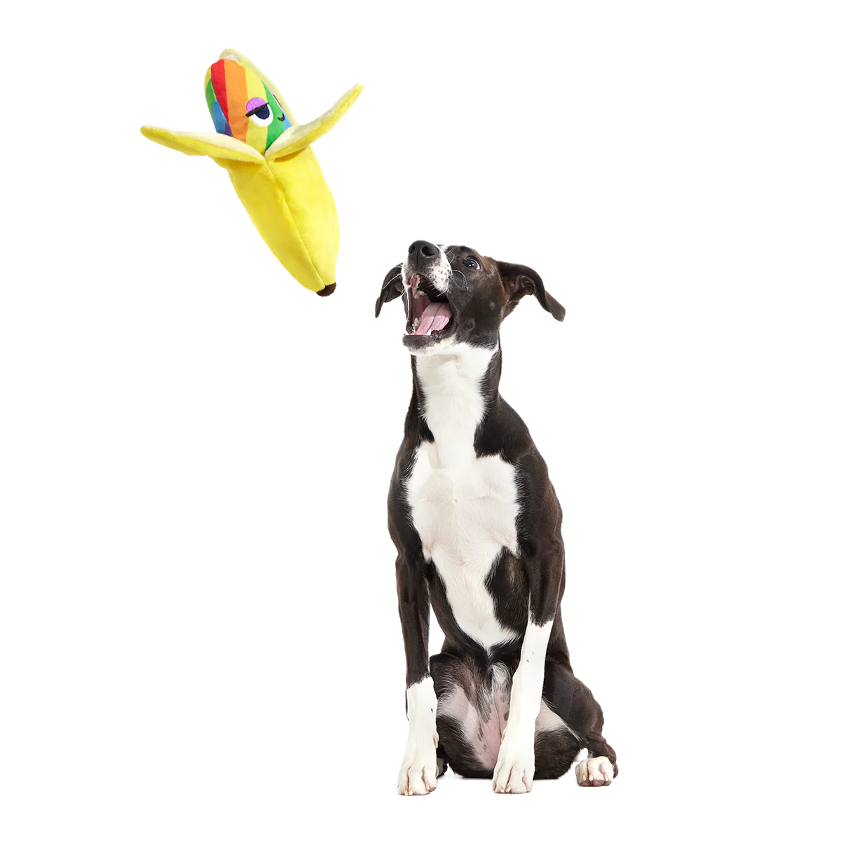 Top Banana Plush Multi-Part Dog Toy - Image 2