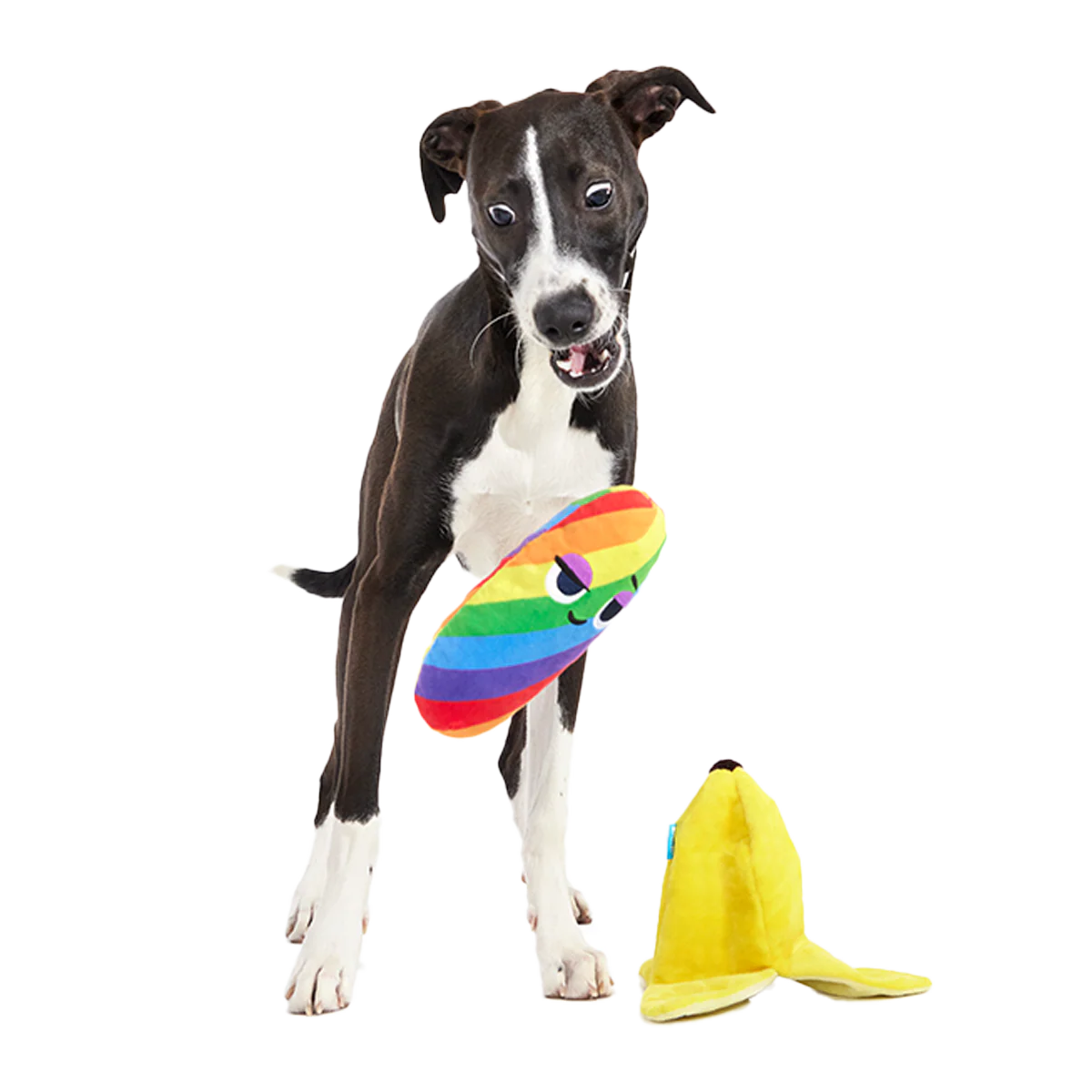 Top Banana Plush Multi-Part Dog Toy - Image 3