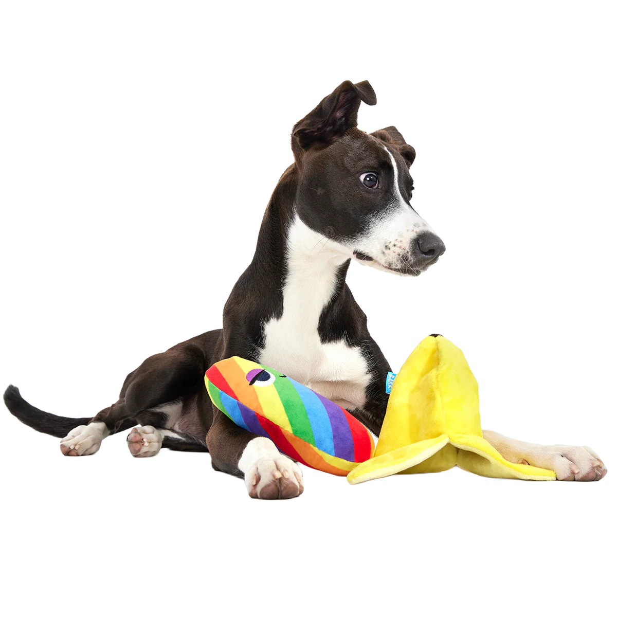 Top Banana Plush Multi-Part Dog Toy - Image 4
