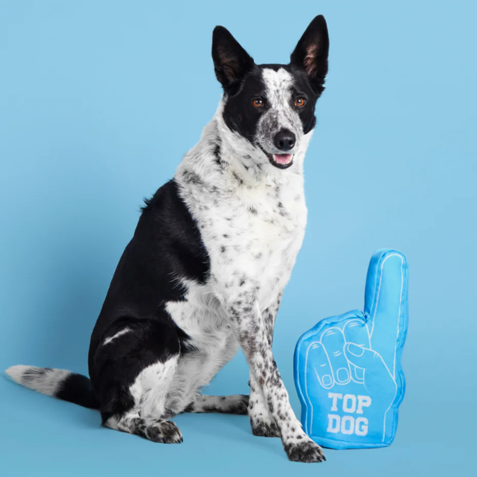 Top Dog Foam Finger Plush Dog Toy - Image 3