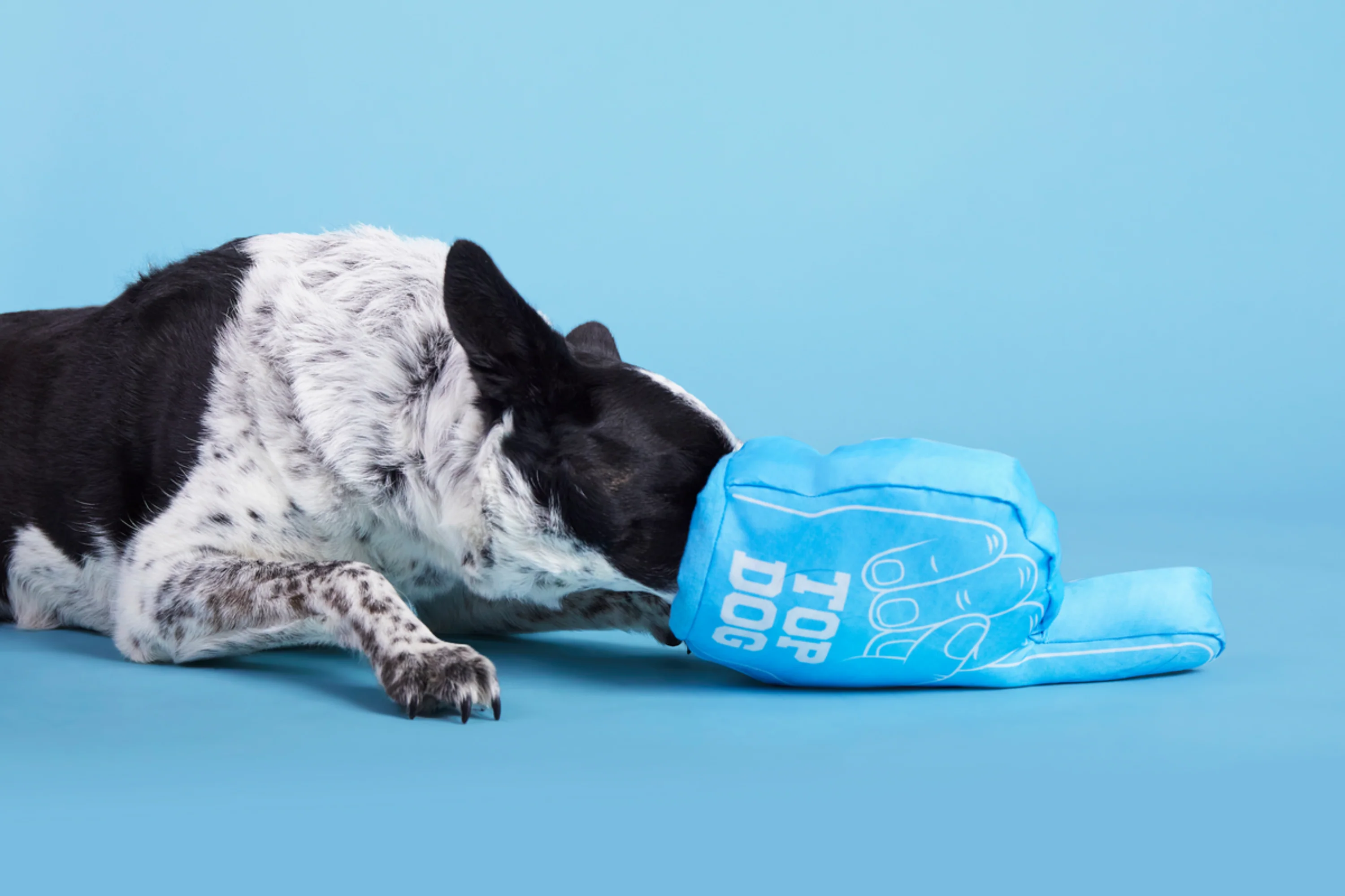Top Dog Foam Finger Plush Dog Toy - Image 4