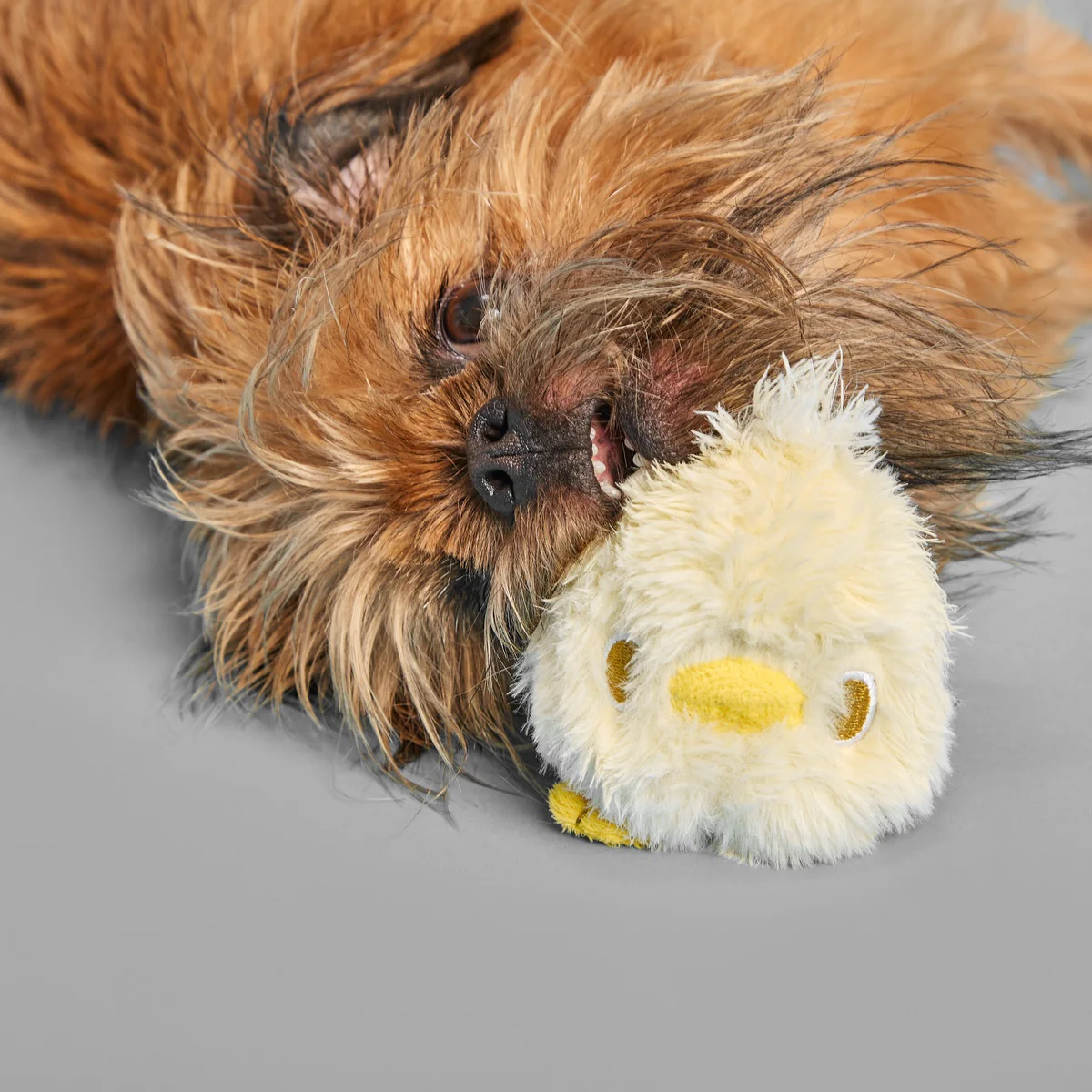 Tough Chick Super Chewer Durable 2-in-1 Dog Toy - Image 5