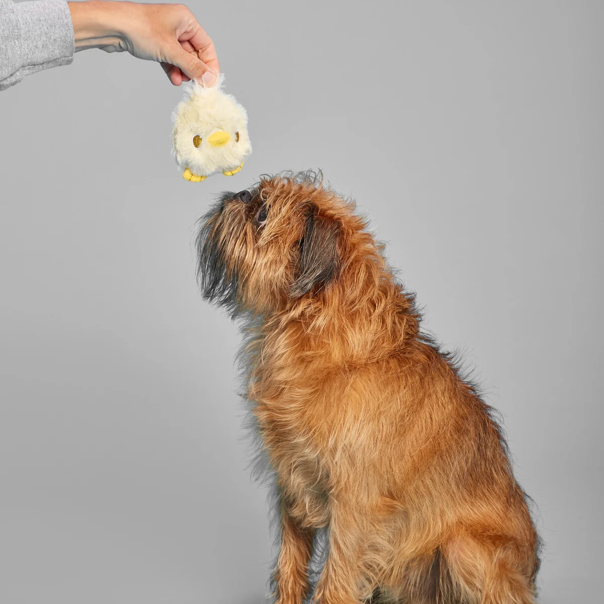 Tough Chick Super Chewer Durable 2-in-1 Dog Toy - Image 6