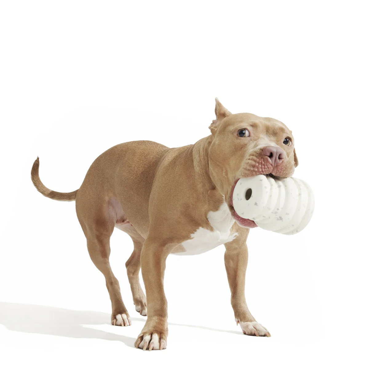 Tough Stuffed Cake Sweet Treater Super Chewer Durable Enrichment Dog Toy - Image 4