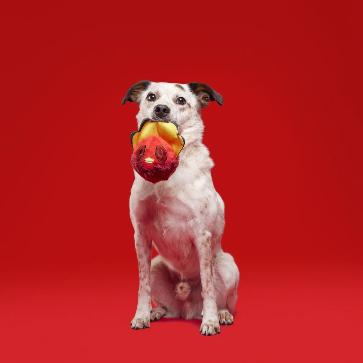Tough Stuffed Turducken Durable Super Chewer 2-in-1 Rip and Reveal Dog Toy - Image 3