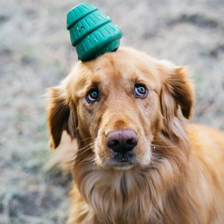Tough Timber Pine Tree Durable Super Chewer Gnaw Dog Toy - Image 3